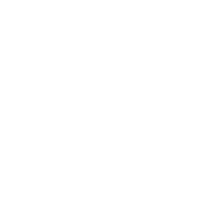 Logo BlackFox Partners
